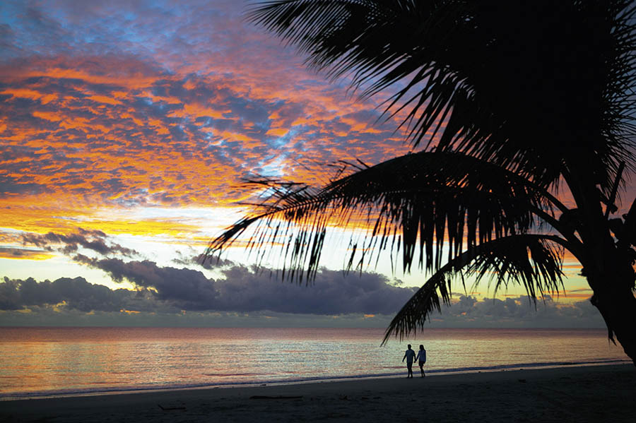Take sunrise walks on Four Mile Beach in Port Douglas | Photo credit: Tourism Queensland