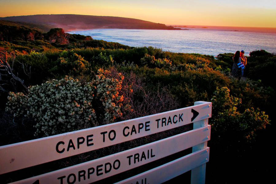 Cape Lodge - trail