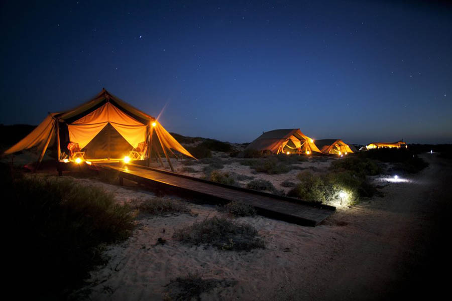 Sal Salis - tents at night