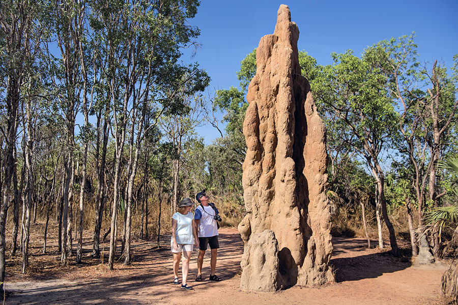 Wander around giant termite mounds in Litchfield National Park | image credit: Tourism NT Wander around giant termite mounds in Litchfield National Park | image credit: Tourism NT