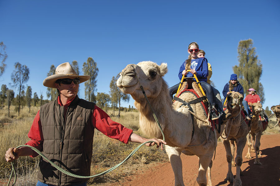 Visit a camel farm en-route to Uluru | photo credit: Tourism NT