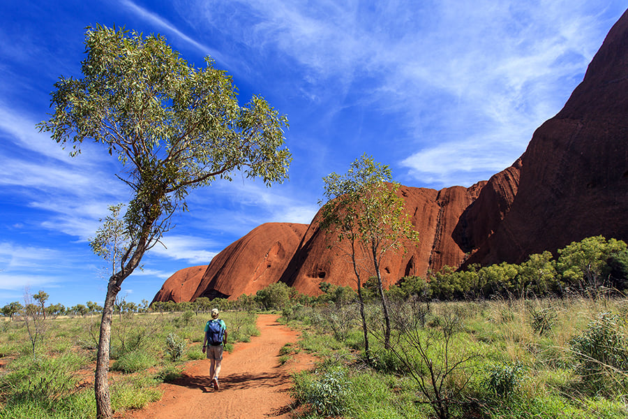 Enjoy a guided walk around the base of Uluru