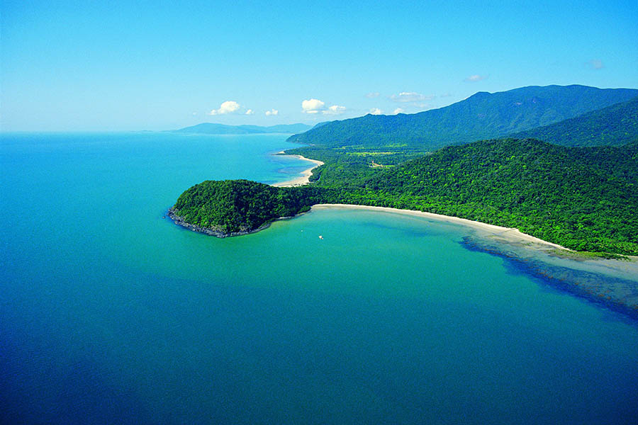 Expore further afield and visit Cape Tribulation