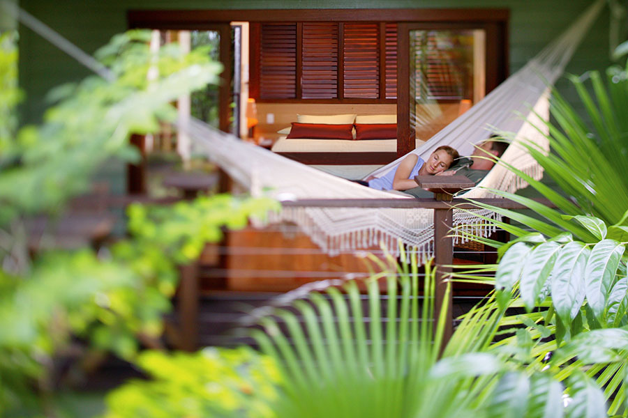 Relax in the ancient  Daintree rainforest