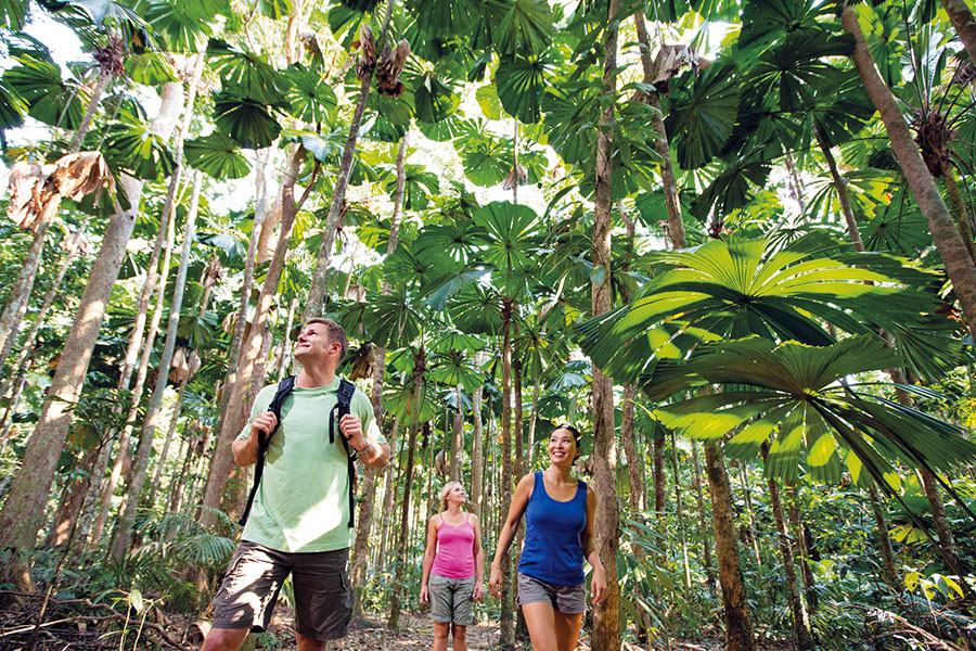 Explore tropical Queensland by foot
