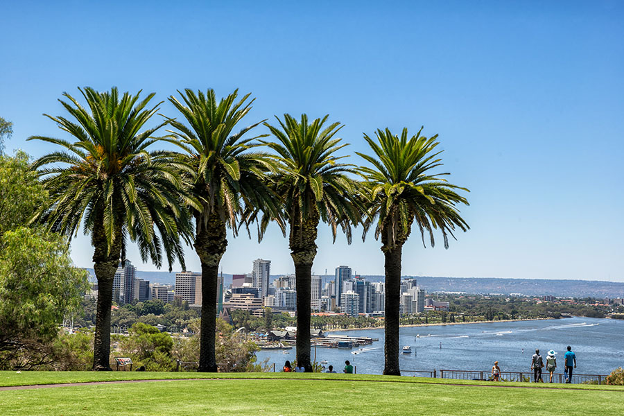 Get some of the best views of Perth from Kings Park