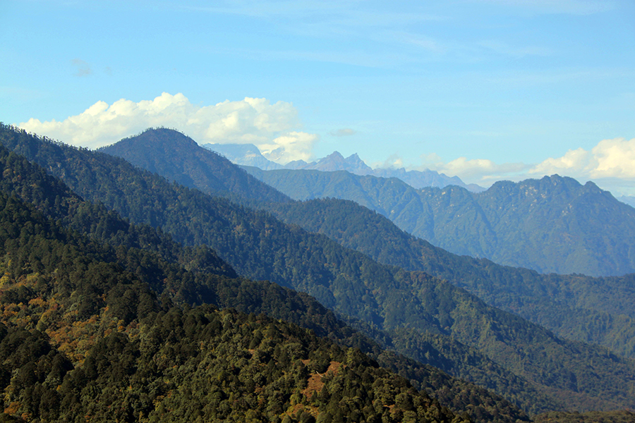 Look out at the mighty Himalayas from the Dochula Pass