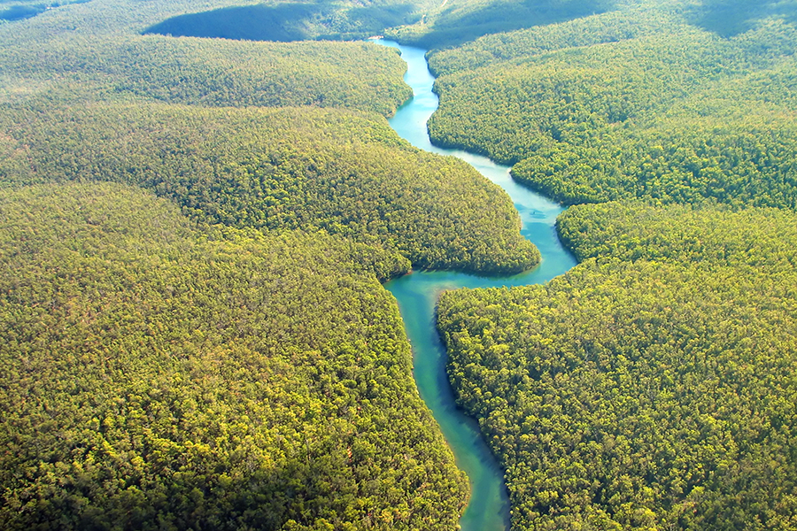 The Amazon river, Brazil