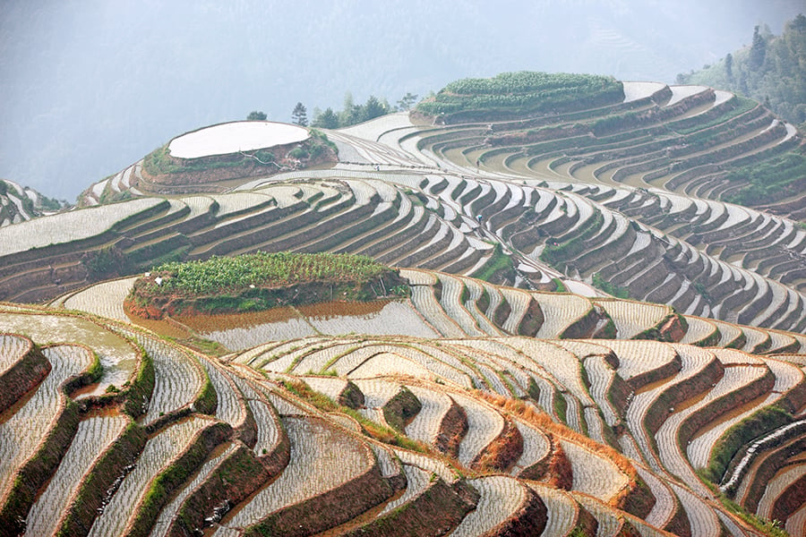 ‘Dragons Backbone’ (Longji), one of the most beautiful stretches of rice terraces in the country. 