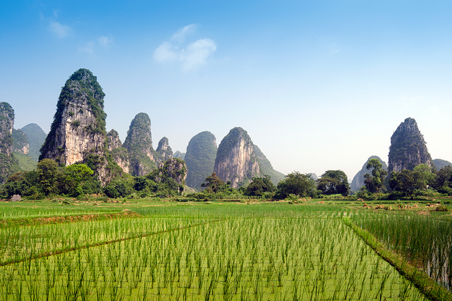 A typical Yangshuo landscape of mountains and rice fields