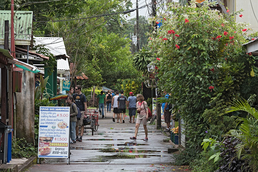 Enjoy a guided tour though the town of Tortuguero