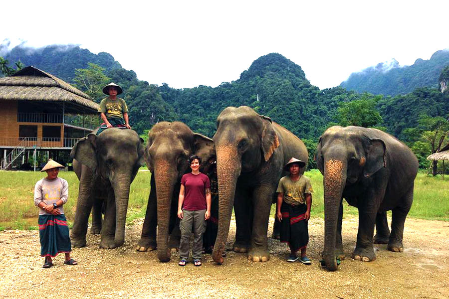 Jess took the opportunity to get close up to the elephants Jess took the opportunity to get close up to the elephants