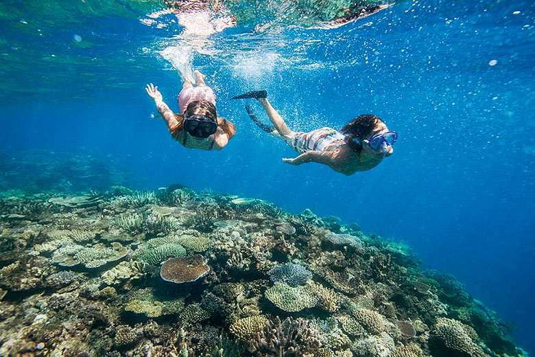 Make the most of your complimentary snorkel gear and get out onto the reef to spot the tropical fish Make the most of your complimentary snorkel gear and get out onto the reef to spot the tropical fish