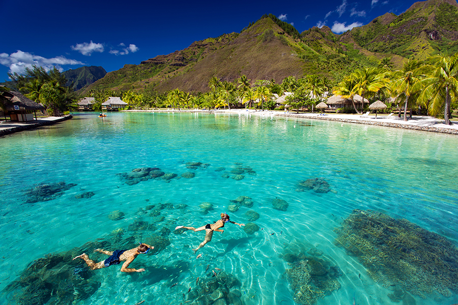 Snorkel in the crystal clear waters of French Polynesia