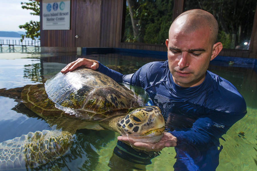 The Gaya Island Marine Centre rescues and rehabilitates sea turtles | Photo credit: Gaya Island Resort