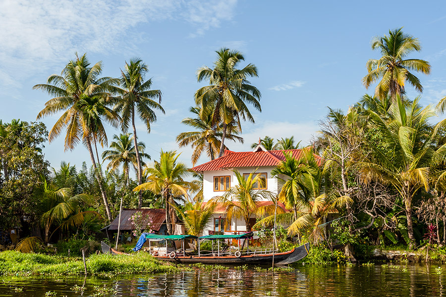 Explore the swaying palms of the backwaters