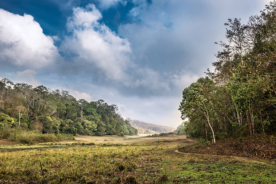 Head out in search of the wildlife in Periyar National Park