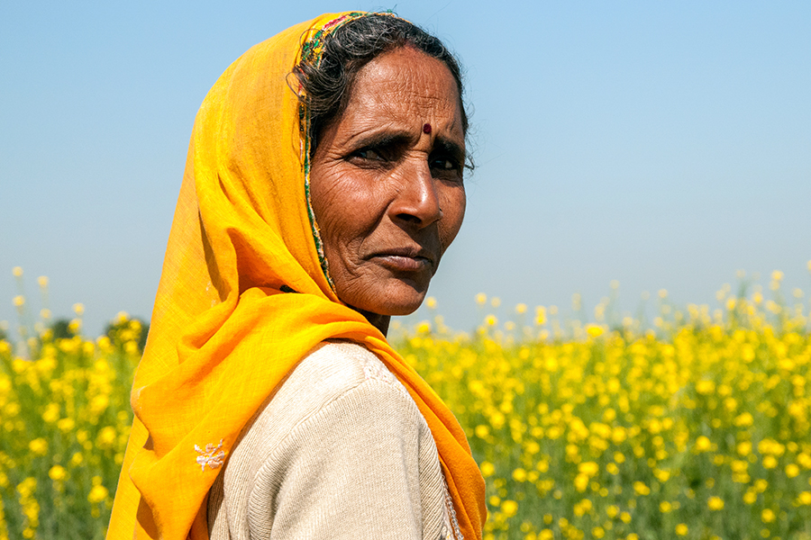 A local woman, Rajasthan, India
