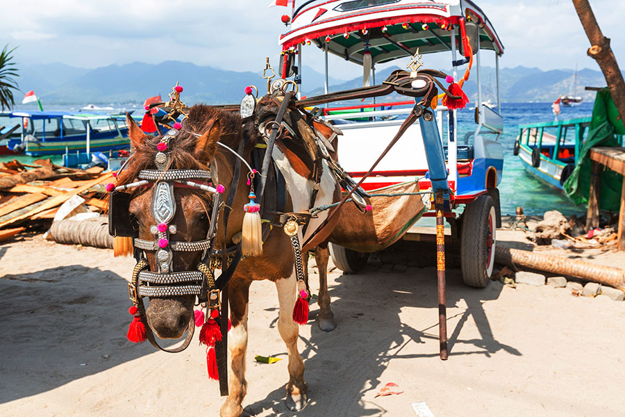 There are no motorised vehicles in the Gili islands so your "taxi" is a horse and cart