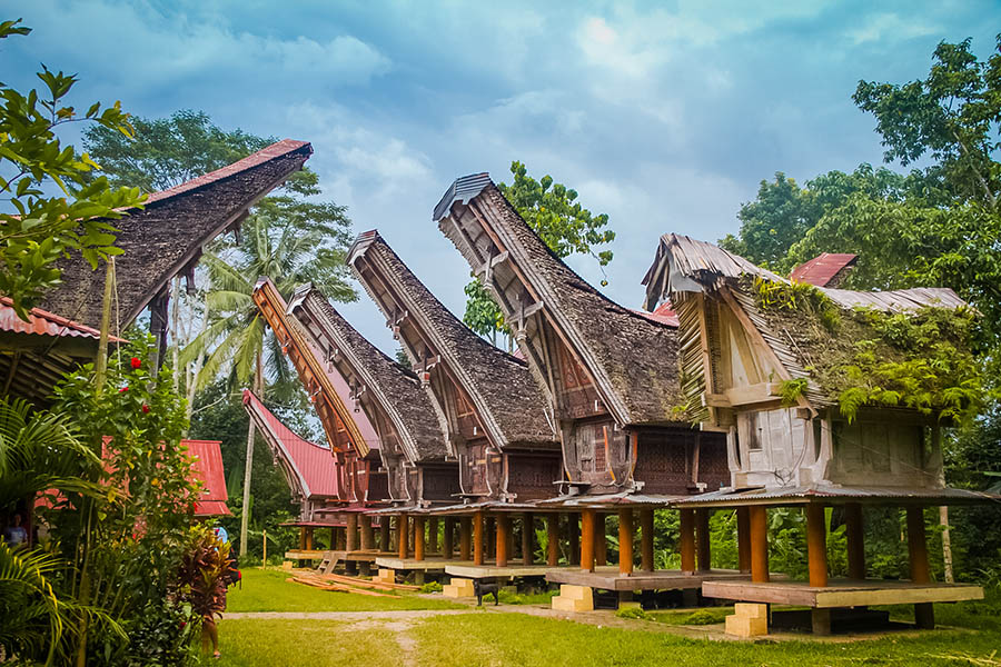 See the intriguing boat-shaped houses (tongkonan)
