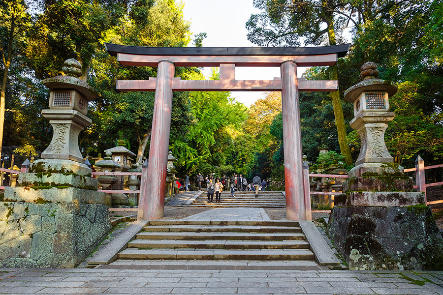 Head to Kasuga Taisha, the most celebrated Shinto shrine in Nara