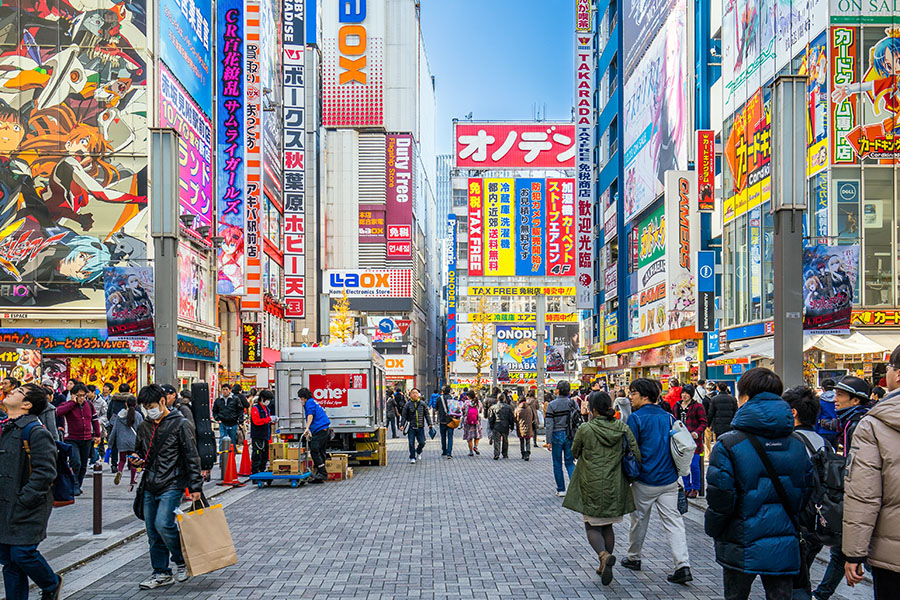 A private guide will take you around the highlights of Tokyo