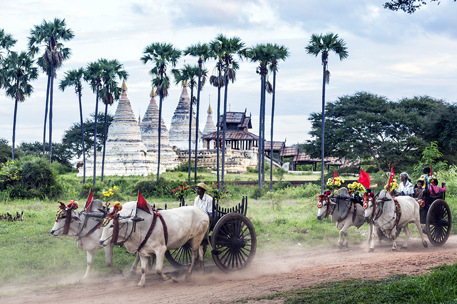 Explore the history, culture and lifestyles of Bagan