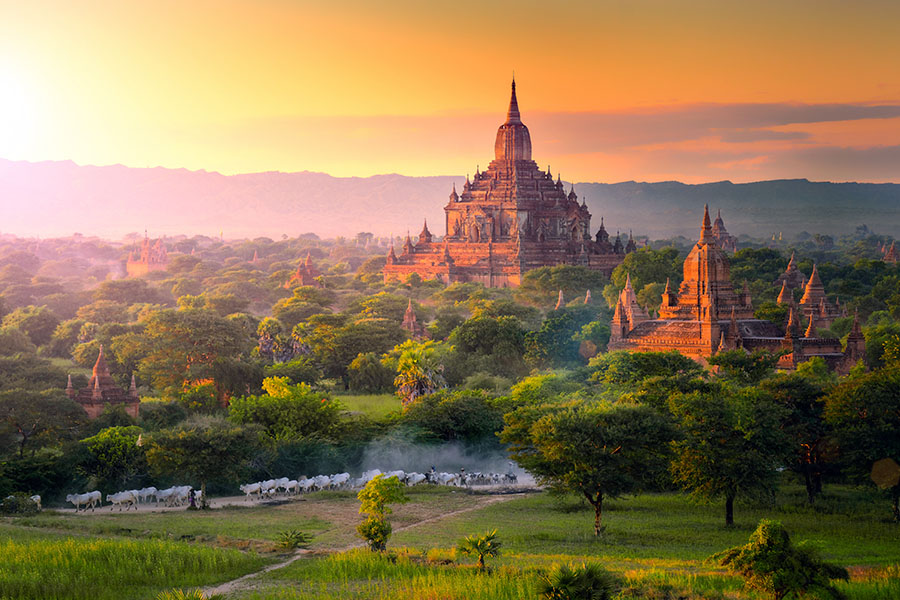 Explore the stunning plains of Bagan