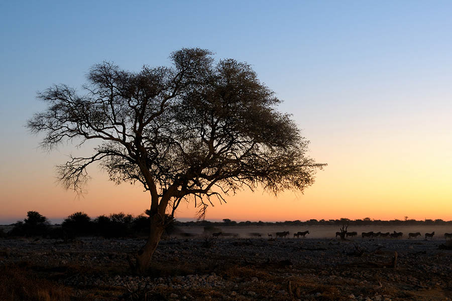 Witness spectacular African sunsets