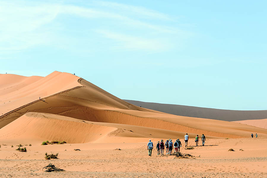 You’ll have all day today to enjoy the stark beauty of Sossusvlei