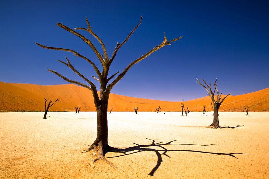 Namibia's Sossusvlei sand dunes