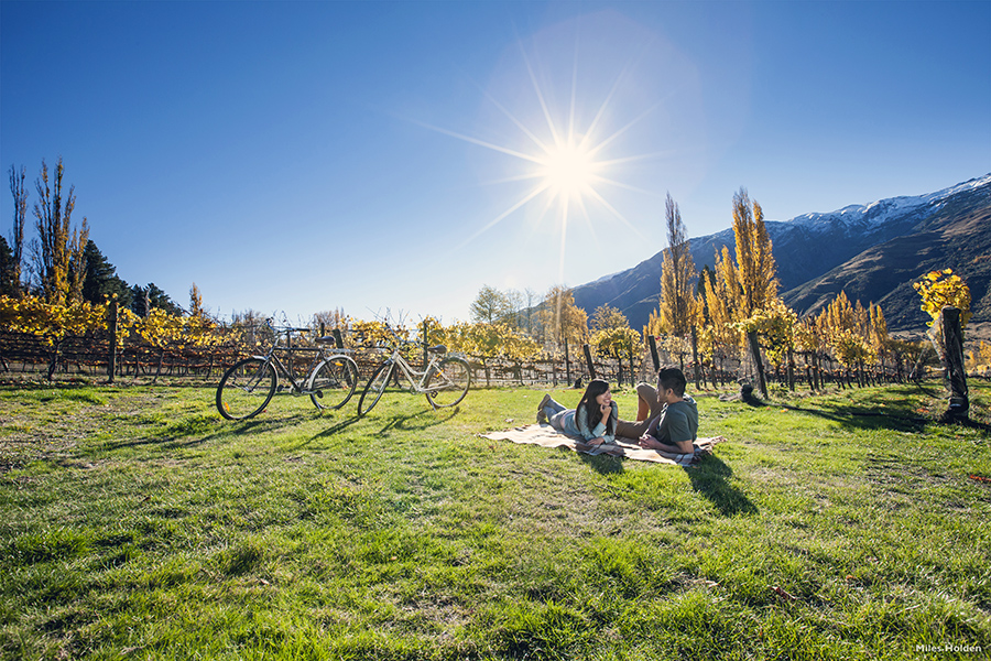 Take the time to discover New Zealand's excellent vineyards | credit: Miles Holden