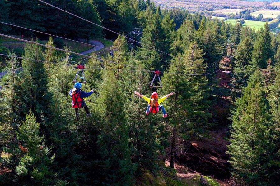 Enjoy a thrilling zipline ride with Canopy Tours | credit: www.canopytours.co.nz