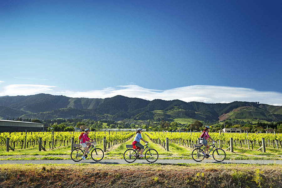 Jump on your bike and discover the rolling hills of Nelson | credit: Dean McKenzie