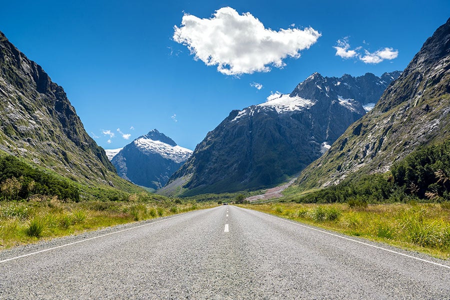 Don't forget your camera for the drive along Milford Road!