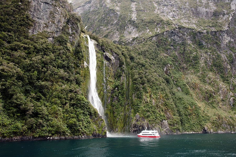Cruise through the dramatic scenery of Milford Sound