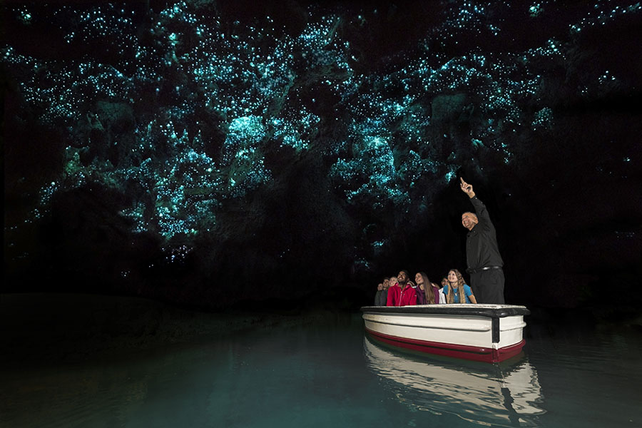 Discover the magical Waitomo Glowworm Caves 