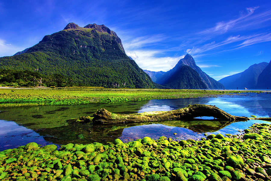 Mirror lakes near Milford Sound, New Zealand