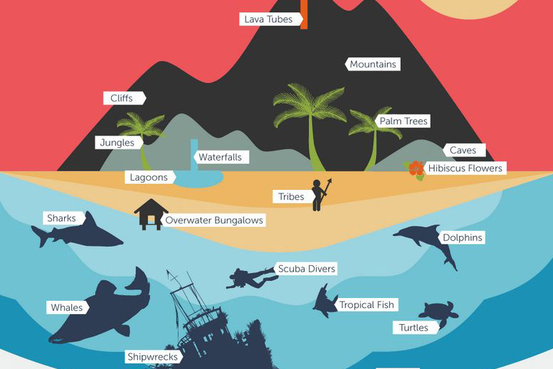 [Infographic] Everything you need to know about the South Pacific islands in a (coco)nut shell