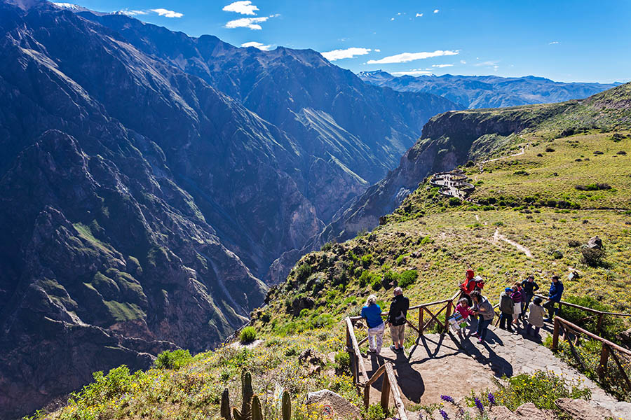 Watch condors glide above Colca Canyon (it's deeper than the Grand Canyon)