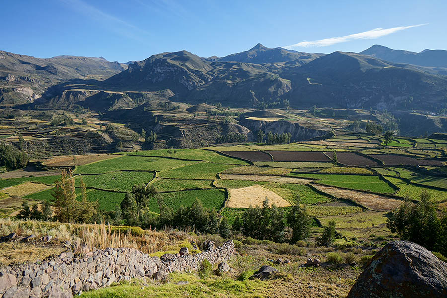 Travel through spectacular farmland on your way to Colca Canyon