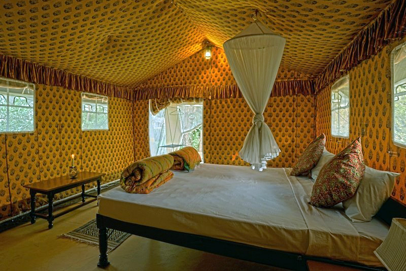  Luxury tent at Ranthambhore Bargh, India