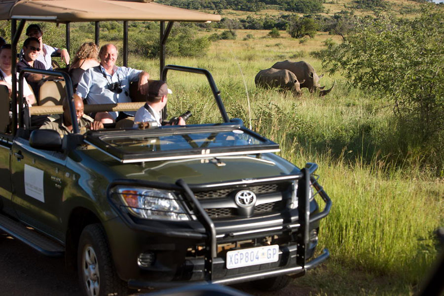 Game drives are the highlight of your stay | credit: Shepherd's Tree Game Lodge