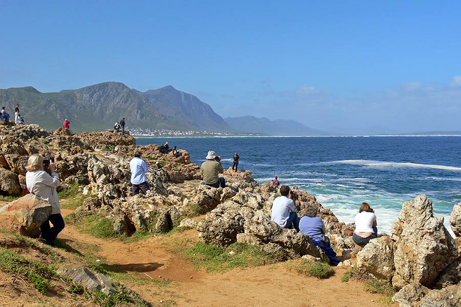 Whale watching is a great reason to visit South Africa