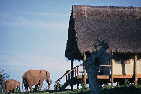 Gorah Elephant Camp - Lodge