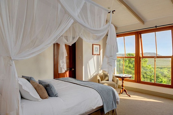 Grootbos Private Nature Reserve - Room