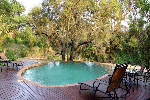 Hoyo Hoyo Safari Lodge - Pool