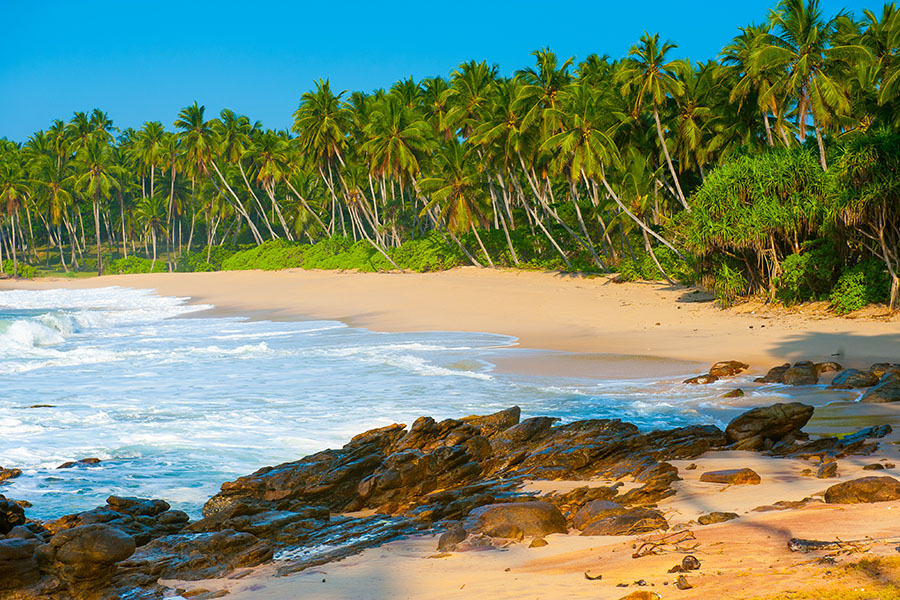 Discover the untouched coastline at Tangalle
