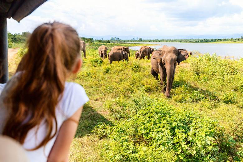 Plan a family safari in Sri Lanka | Travel Nation Plan a family safari in Sri Lanka | Travel Nation