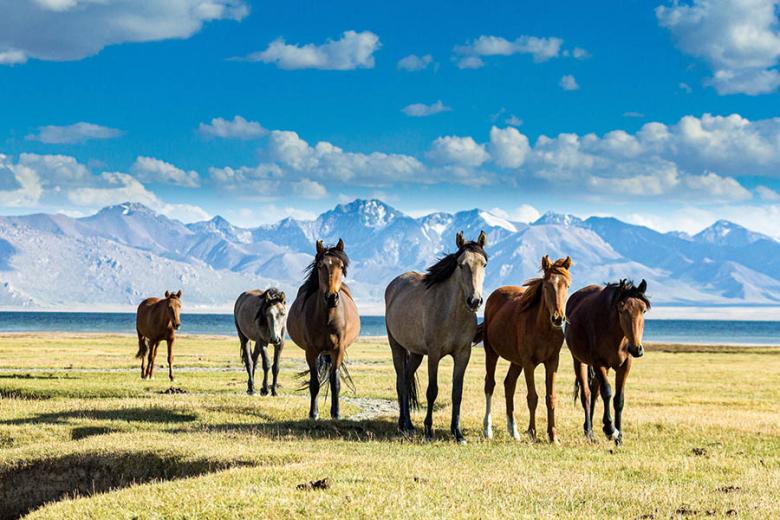 Explore beautiful Kyrgyzstan | Travel Nation Explore beautiful Kyrgyzstan | Travel Nation